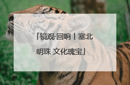 镜观·回响丨塞北明珠 文化瑰宝